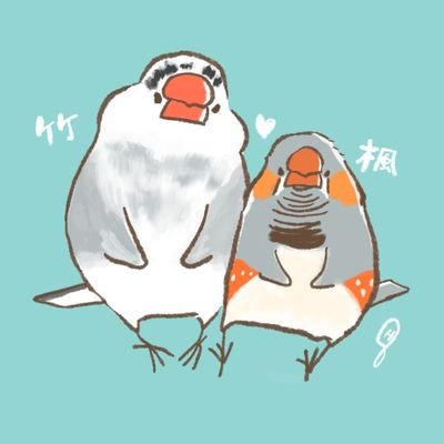 彩の国でキンカまみれ。
フォロー返しは滅多にしません、ごめんなさい。
ゼブラフィンチラボ会員。
時々、鉄道が混じるのは仕様です。
★現在、キンカ16羽ジャンボキンカ6羽の大所帯…!