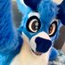 Charlie Deer (@charliedeer1) Twitter profile photo Charlie Deer (@charliedeer1) Twitter profile photo