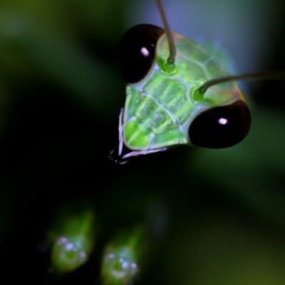 Merix77689946's profile picture. 