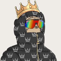 Tⓨler 🦦 (@tyler_solana) Twitter profile photo
