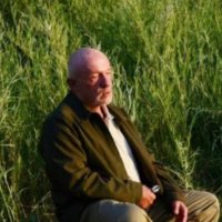 alp (@alpewenn) 's Twitter Profile