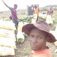 DondiegoXally's profile picture. am gentle, kind, Wise, deducted. capable , straight forward and truthfully in my life style. # agriculture, music,sport,dance... all that is my passion. 💧 $FYN