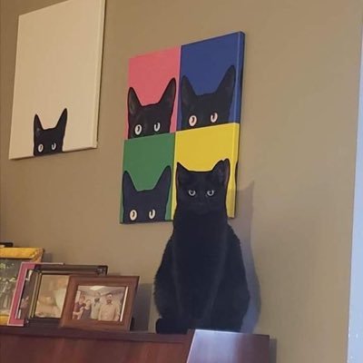 ___peko123___'s profile picture. 