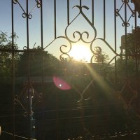 Ⓜ️agic🐕🦺🇬🇧🇵🇭🍀👊🦾 (@bssmagic24) 's Twitter Profile