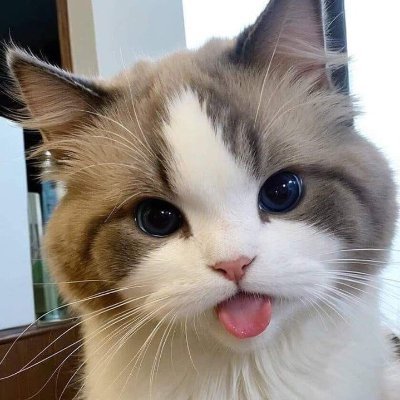 🎸🦈 @Williamjkp1 @EstRvp 🐺 #LYKN @hongshihoshi03 💫🌸 หนุ่มตี๋บอก 𝙍𝙐𝙆 𝙉𝘼! ✨🍀 𝙼𝚊𝚡𝙽𝚊𝚝 🩵🩷 𝙿’𝙿𝚊𝚛𝚔 💚 | #ReviewsJY #JYmakeUp 💋