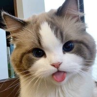 จย ✨ jooya (@nnjt_jy) 's Twitter Profile Photo จย ✨ jooya (@nnjt_jy) 's Twitter Profile Photo