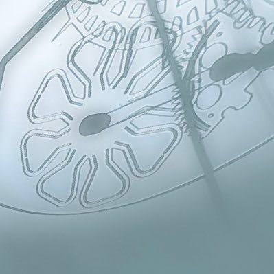 nnetiie's profile picture. 