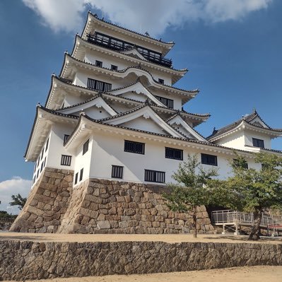 dIw3WLNluF85579's profile picture. 