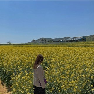 経営者/投資家。過去に会社経営に失敗し膨大な負債を抱える、諦めずに再び起業し複数経営。現在は有益情報をお伝えしたり、私自身お金に苦労したのでお金に困っている人の力になれればと思い、多少ですが現金プレゼント企画を実施中★ フォロワーさん優先➡https://t.co/gutM3U2u8h