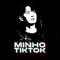 Minho TikTok(@MinhoTikTok) 's Twitter Profile Photo