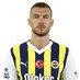 dzeko (@fener1907__1) Twitter profile photo