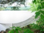 Lakeside, restful, fun in New Hampshire
