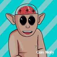 mllycoin's profile picture. nft collector, altcoin hunter