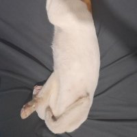 MerMeriismm's profile picture. Crypto is for Mojojoe