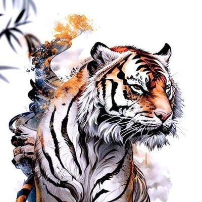 CSitthipoj81480's profile picture. 