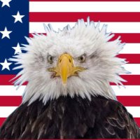 Americas Funny(@Americasfunny) 's Twitter Profile Photo