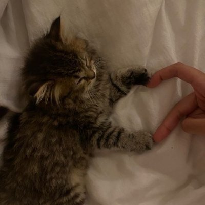 shari48628's profile picture. ~the best is yet to come🌪
Do whatever you wanna do..