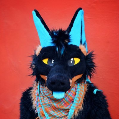 @DUNE_COYOTE