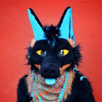 Dune yop.bsky.social (@dune_coyote) 's Twitter Profile