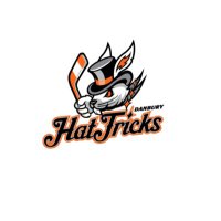 Hattricks (@express_aaa) 's Twitter Profile