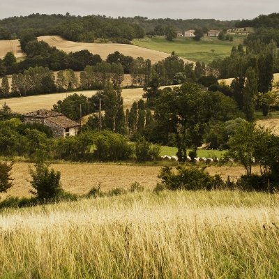 EdCastellan's profile picture. 