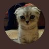 vera2nemtc's profile picture. 