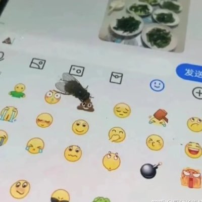 4DSz5Y2kFKRUxBO's profile picture. 