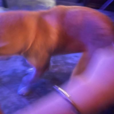 gonaeun16's profile picture. 