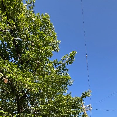 京都　男　19
