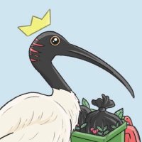 kuRRuPT_NBO (@nbokurrupt85800) 's Twitter Profile