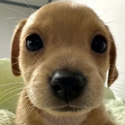 привет:)
я боюсь сдавать огэD:
пока:)
я уже сдала огэ