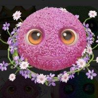 🐞 $GAME🟠 NFTARMY HUDL (@msdao123) 's Twitter Profile Photo 🐞 $GAME🟠 NFTARMY HUDL (@msdao123) 's Twitter Profile Photo