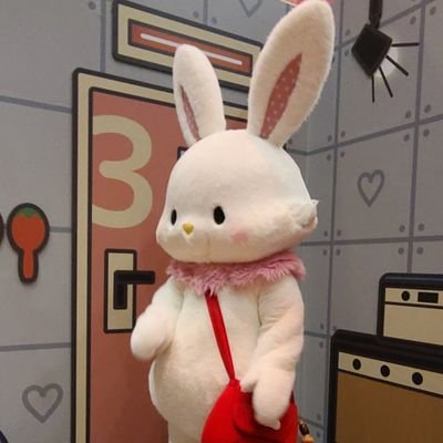 シナモロール、ウィッシュミーメル推し❕🎀✊ 20↑
半分取引垢になっております。