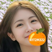 🍊夏みかん🎀 (@n1t2m322) 's Twitter Profile