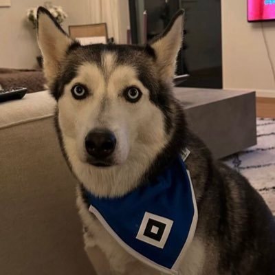 haesvaurice's profile picture. 💙🤍🖤