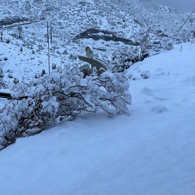 victor_1781's profile picture. 