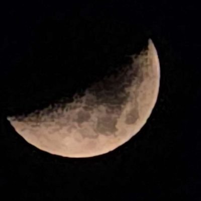 ThiShroo7321's profile picture. hakuna mataata