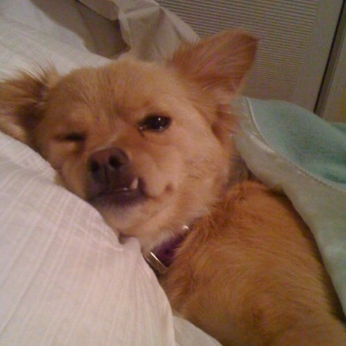 sanestepmom's profile picture. 35 & newly married! Wife 2.0, stepmom to 2 great kids