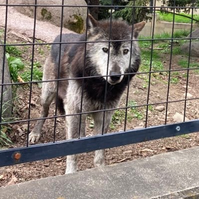 Dragondra183's profile picture. 趣味雑多垢 音楽/読書/キャンプ/登山...etc ずっと真夜中でいいのに。 とUVERworldが特に好き。 読了ツイートは小説やエッセイが中心。