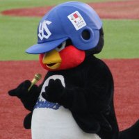 もも🐧写真垢 (@mmmo2896) 's Twitter Profile Photo もも🐧写真垢 (@mmmo2896) 's Twitter Profile Photo