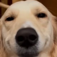 Tixn (@tixn13) 's Twitter Profile