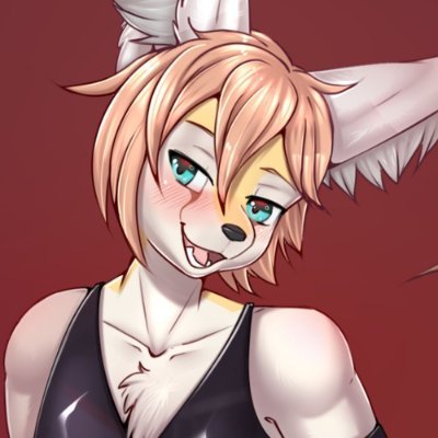 Sellesさんのプロフィール画像