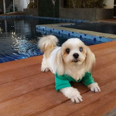 _rhooodzara's profile picture. All thing work together for our good.
Romans 8:28