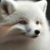 Angora Fox (@finishlastagain) Twitter profile photo Angora Fox (@finishlastagain) Twitter profile photo