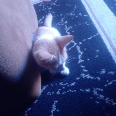 Maikatifason's profile picture. Crypto is the best