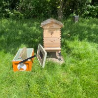 Watford Honey Bees (@watfordbees) 's Twitter Profile Photo Watford Honey Bees (@watfordbees) 's Twitter Profile Photo