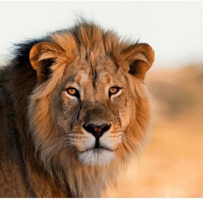 raghure71072705's profile picture. 