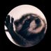 CowBoy (@armourcowboy) Twitter profile photo CowBoy (@armourcowboy) Twitter profile photo