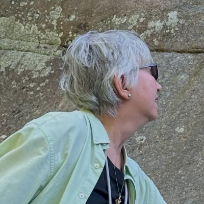 ladysweden's profile picture. Professional Point of View Maker. 😆 MSc in Mathematics and Computer Science; MBA; Analyst; Project manager; Teacher; Politician. In most contexts former.