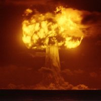 maj_bob (@majbob447) 's Twitter Profile
